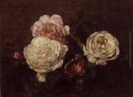 Fiori Roses Fiori Roses