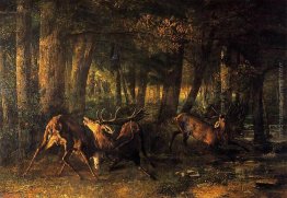 Primavera, Stags Lotta Primavera, Stags Lotta