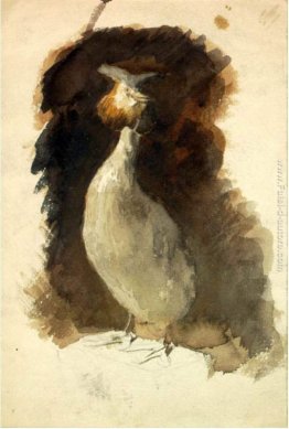 Gallo cedrone ripiene Gallo cedrone ripiene