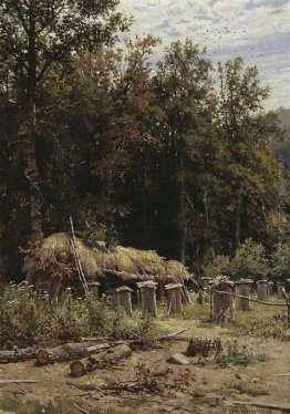 Famiglie di api Famiglie di api