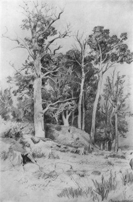 In riva al mare. Sestroreck In riva al mare. Sestroreck