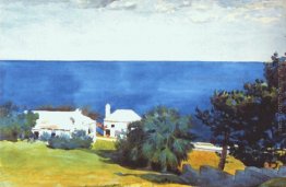 Shore a Bermuda Shore a Bermuda