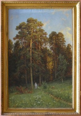 Ai confini di una foresta di pini Ai confini di una foresta di pini