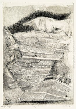 Vigneti chiamati En Noche - paesaggio vicino Aigle, nel canton V Vigneti chiamati En Noche - paesaggio vicino Aigle, nel canton V