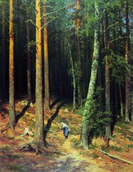 pineta pineta