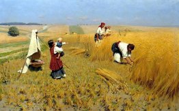 Vendemmia Raccolta in Ucraina Vendemmia Raccolta in Ucraina