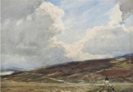 Herding Sheep Herding Sheep