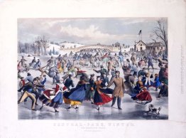 Central Park, Inverno. Il Skating Pond Central Park, Inverno. Il Skating Pond