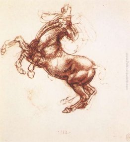 Allevamento di cavalli Allevamento di cavalli