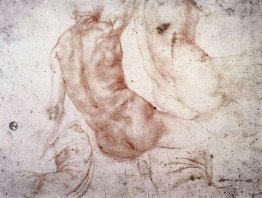Nudo seduto con il braccio alzato Nudo seduto con il braccio alzato