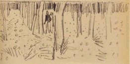 Coppia camminare tra i filari di alberi Coppia camminare tra i filari di alberi