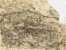 Alberi di ulivo in un paesaggio di montagna Alberi di ulivo in un paesaggio di montagna