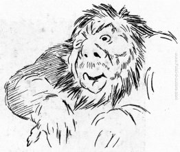 Trollstudie Trollstudie