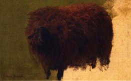 Grande Wooly Sheep (noto anche come Wether) Grande Wooly Sheep (noto anche come Wether)