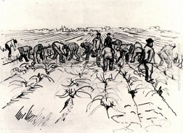 Gli agricoltori che operano nel settore Gli agricoltori che operano nel settore