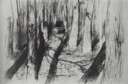 Tronchi degli alberi Tronchi degli alberi
