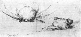 Gli studi sugli animali Gli studi sugli animali