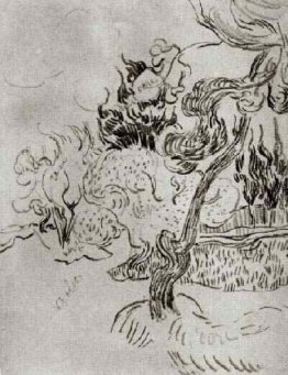 Un albero di pino e Cipressi nel giardino del manicomio Un albero di pino e Cipressi nel giardino del manicomio