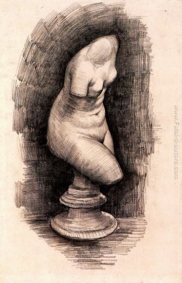 Torso di Venere Torso di Venere
