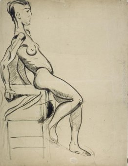 Nudo femminile su una sedia Nudo femminile su una sedia