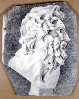 La testa del Laocoonte nel profilo La testa del Laocoonte nel profilo