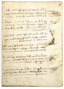 Codice sul volo degli uccelli Codice sul volo degli uccelli