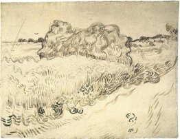 Campo di grano con una pila di grano o fieno Campo di grano con una pila di grano o fieno