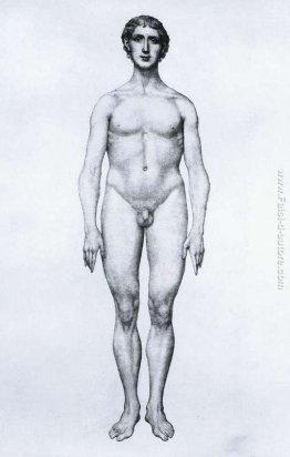 Studio della figura umana, vista anteriore, da 'A anatomica Espo Studio della figura umana, vista anteriore, da 'A anatomica Espo