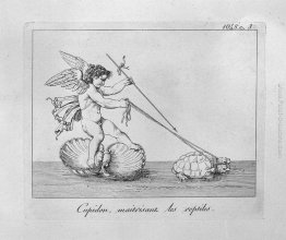 Cupido e le tartarughe Cupido e le tartarughe