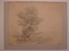 Paesaggio Paesaggio