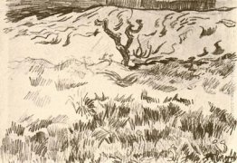 Campo con Albero spoglio Campo con Albero spoglio
