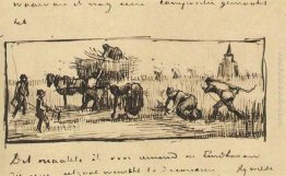 Mietitura del grano Mietitura del grano