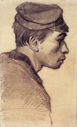 Testa di giovane Testa di giovane