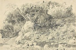 Creek in Gurzuf Creek in Gurzuf