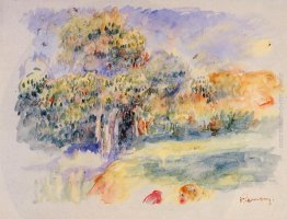 Paesaggio Paesaggio