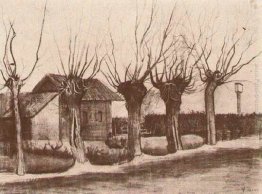 Piccola casa su una strada con Pollard salici Piccola casa su una strada con Pollard salici