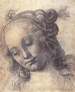 Donna che osserva giù Donna che osserva giù