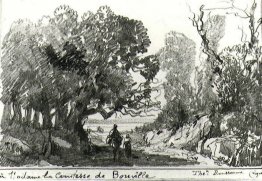 Un percorso nel bosco Un percorso nel bosco