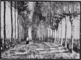 Lane, con alberi e una cifra Lane, con alberi e una cifra