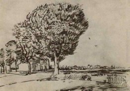 Strada con gli alberi Strada con gli alberi