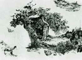 Gruppo di alberi decidui e pietre Gruppo di alberi decidui e pietre