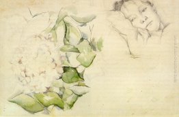 La signora Cézanne con Hortensias La signora Cézanne con Hortensias