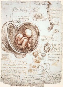 Gli studi del feto nel grembo materno Gli studi del feto nel grembo materno