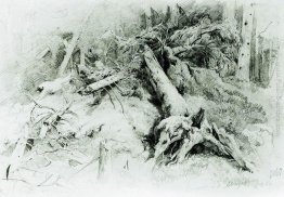 Vento alberi caduti Vento alberi caduti