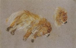 Due Studi di Sleeping Dog Due Studi di Sleeping Dog