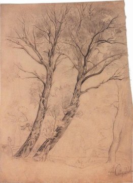 Alberi Alberi