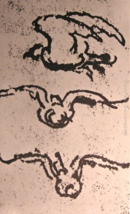 Disegni di un uccello in volo Disegni di un uccello in volo