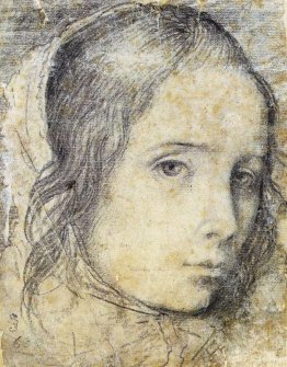 Testa di ragazza Testa di ragazza