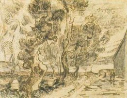 Un angolo di asilo e il Giardino con un pesante, mozze Albero Un angolo di asilo e il Giardino con un pesante, mozze Albero