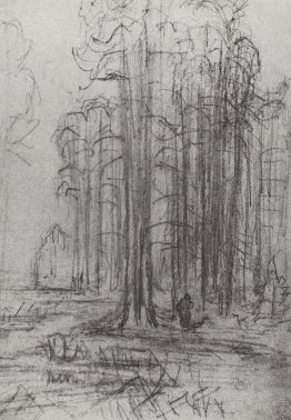 Paesaggio della foresta Paesaggio della foresta